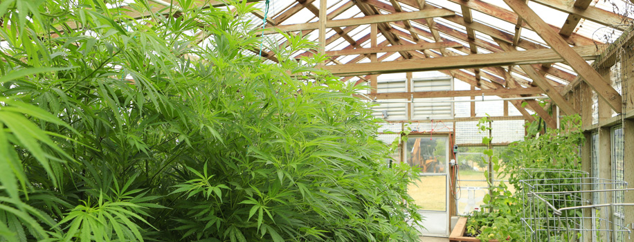 Security Solutions for Apartments in Charlotte , NC